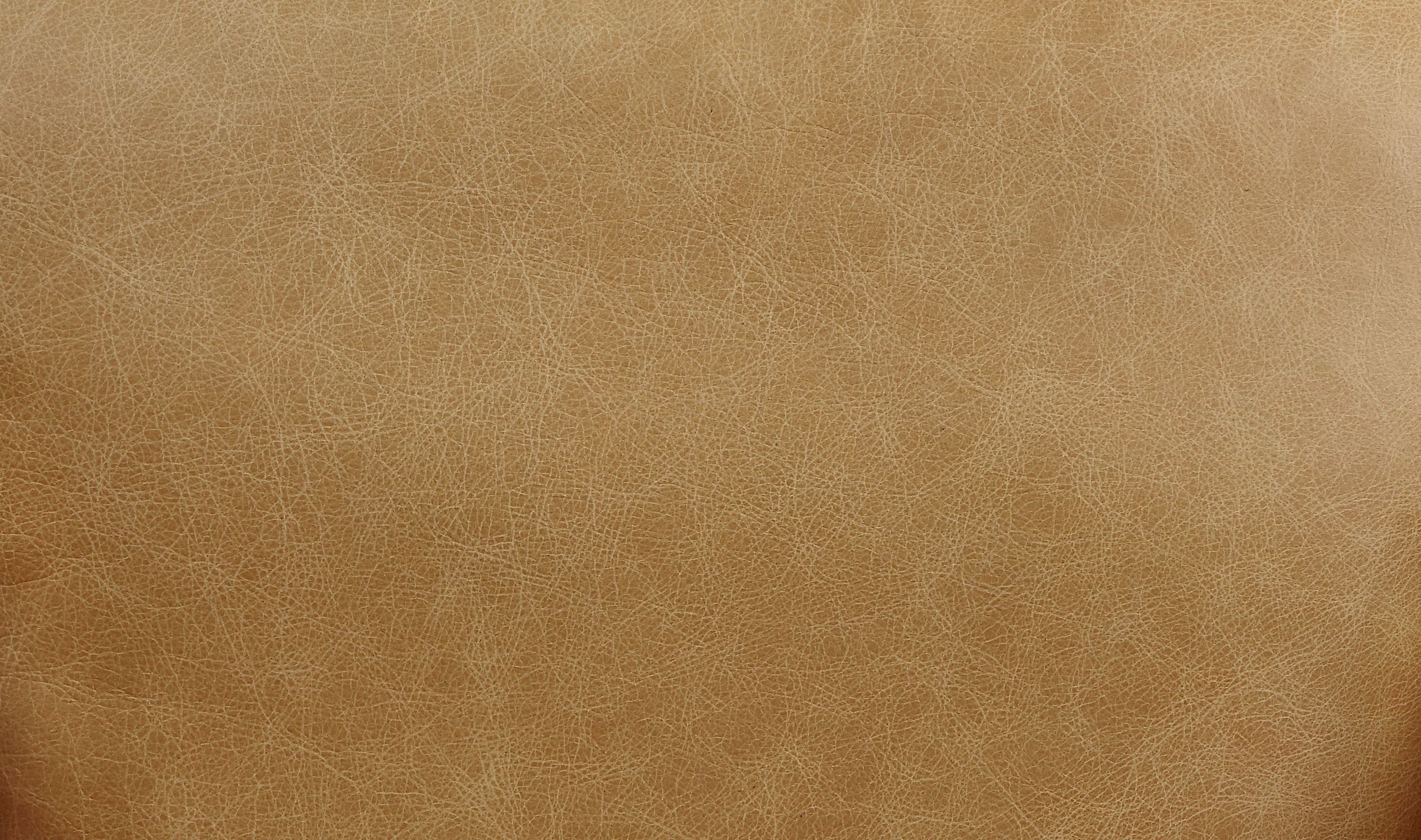 16901477