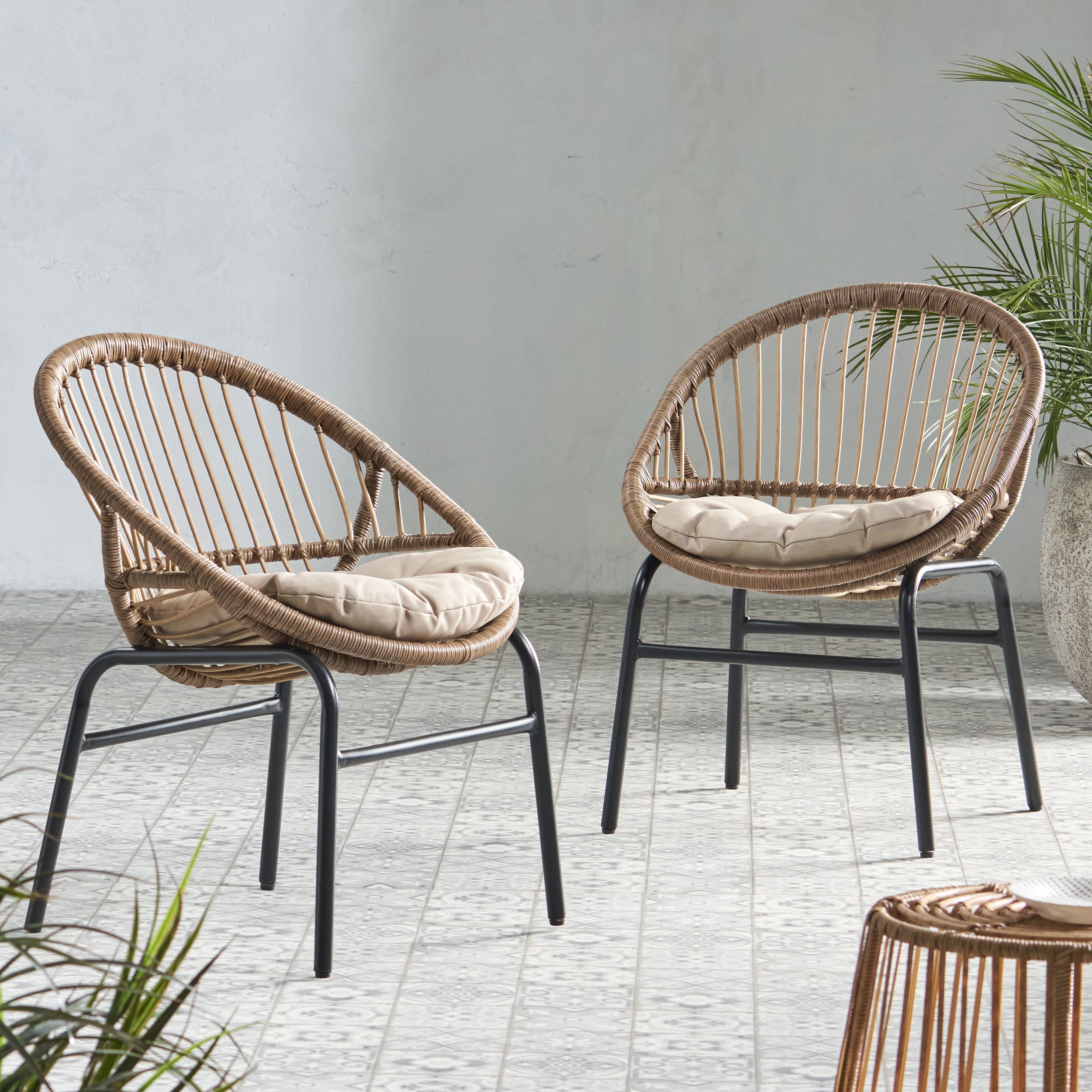 Edgar Chairs (Set of 2): Modern Dining Chairs
