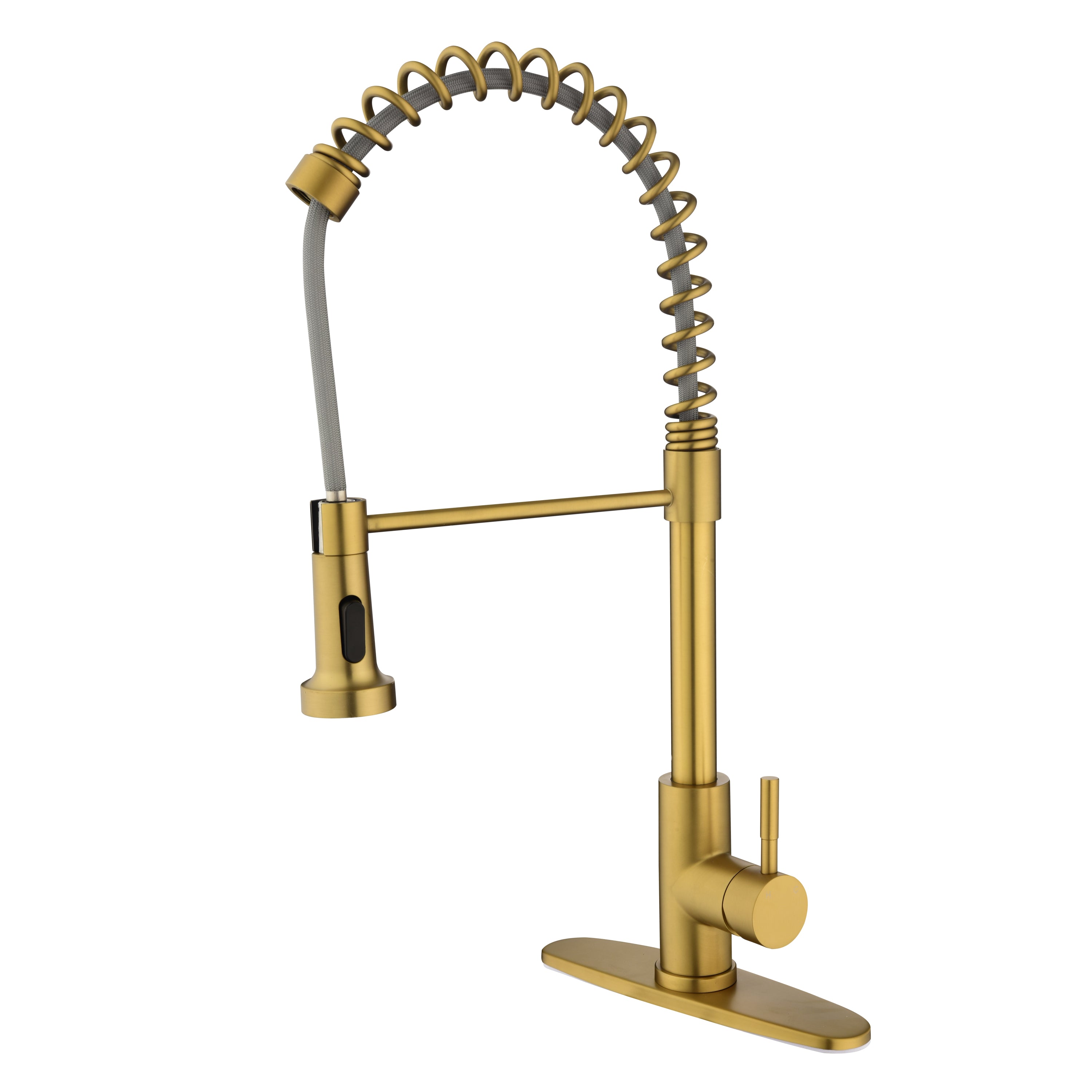 Pull-Out Kitchen Faucet: Sprayer & Style