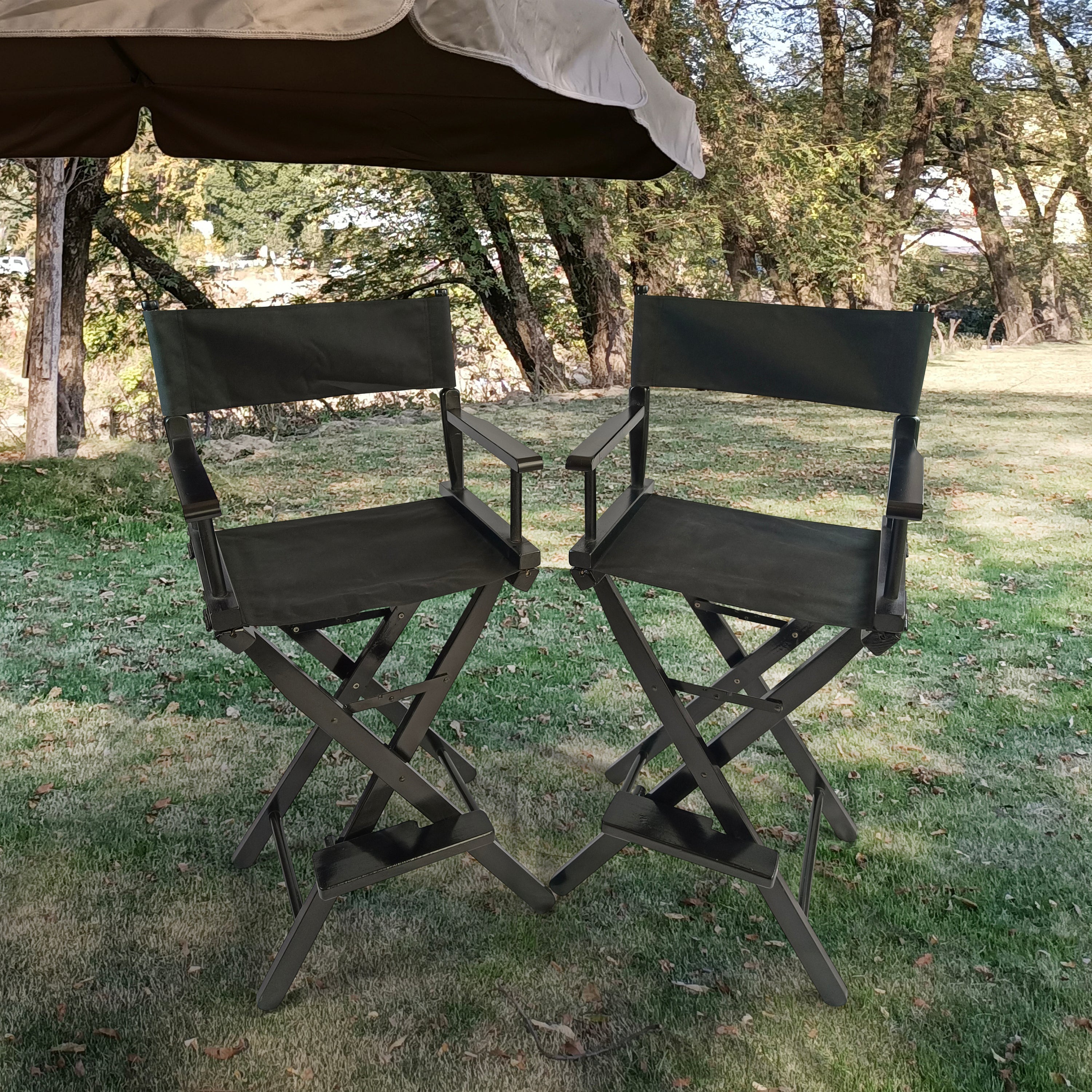 Foldable Director Chairs, Black, 2-Pack Set