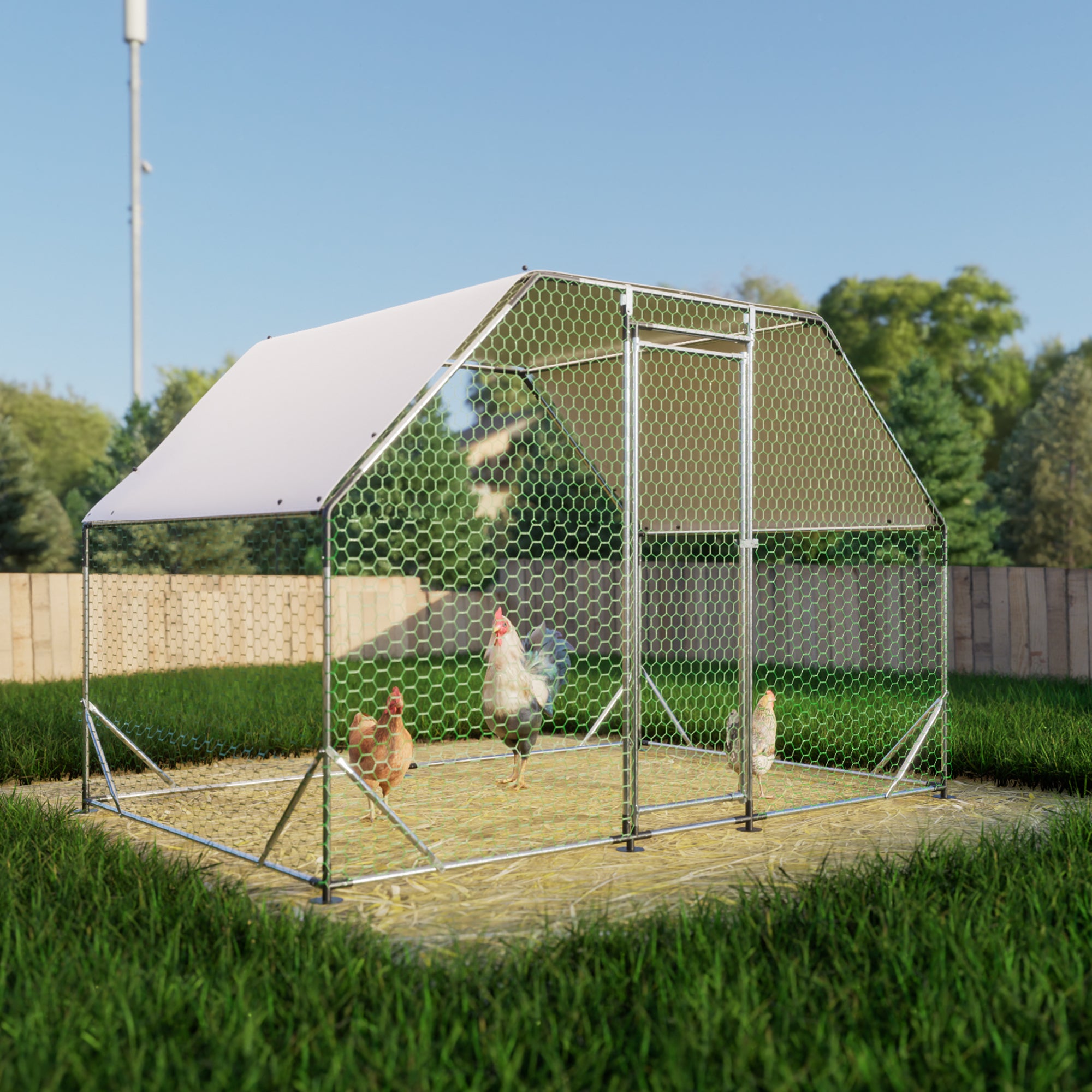 Giant Walk-In Chicken Coop: 9.94x6.46x6.36ft